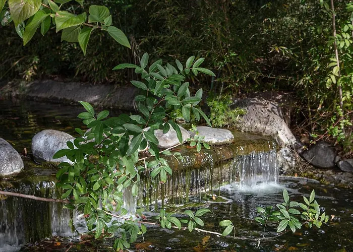 Costalita Apartment *