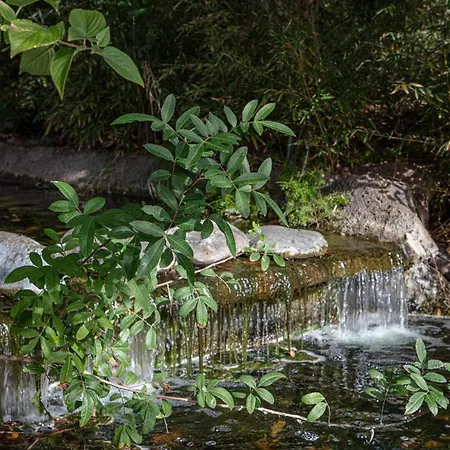 Costalita Appartement *